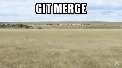 Sometimes git merge can get messy, but Marge Conflict can handle it. Meme from giphy.com